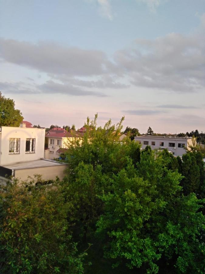 La Madriguera Acomodação com café da manhã Raszyn Exterior foto